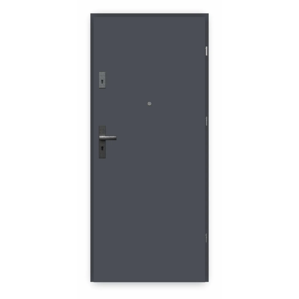 Drzwi wewnętrzne wejściowe