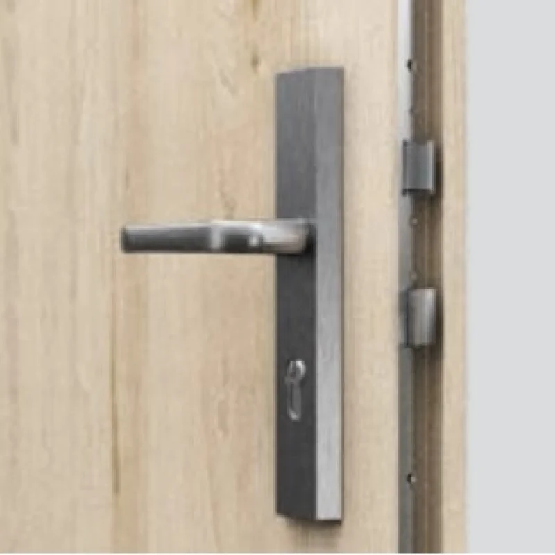 Drzwi Wejściowe Opal Prawe 80 Antracyt, SPEO0P0P082NCJSL30O